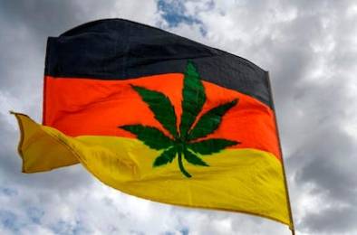 German legalization details 