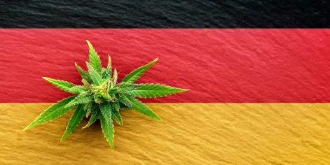 German legalization details 