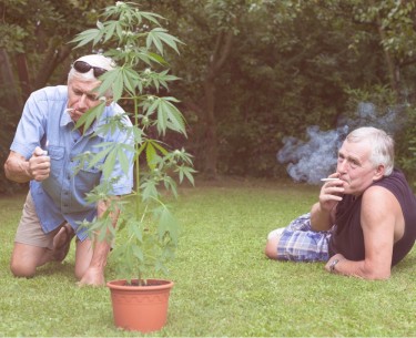 senioren worden te veel stoned
