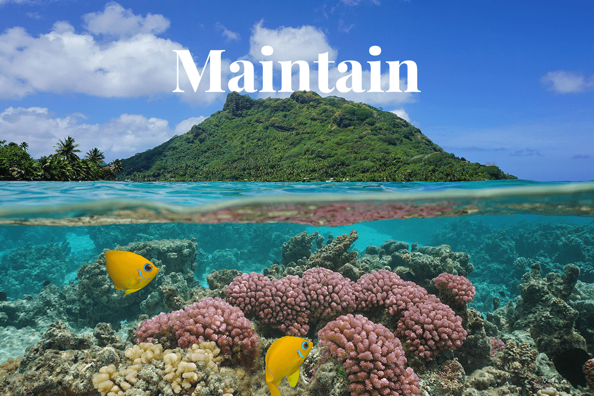 cómo se pueden mantener los ecosistemas_paisaje de la isla de Huahine_visual 1