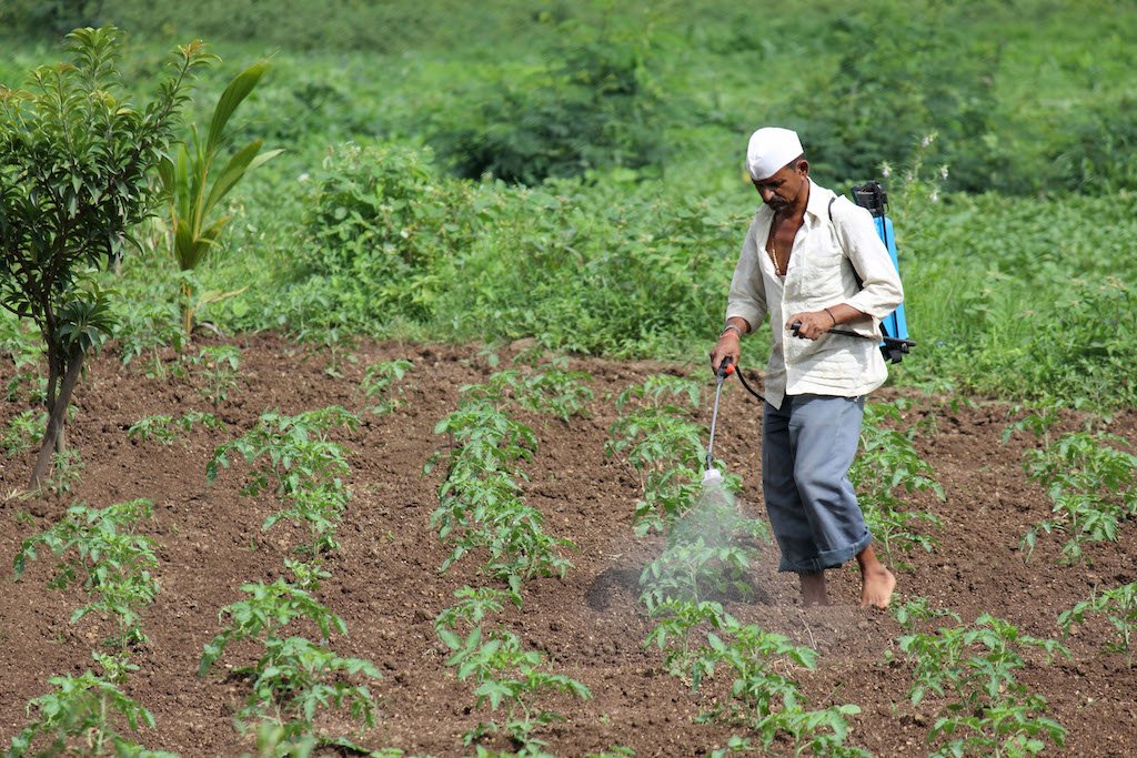 クウェートで植物に肥料を散布する農家。