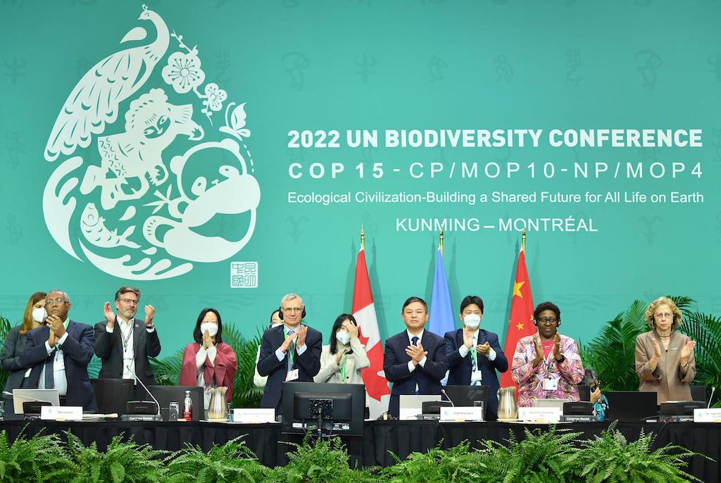 COP15 başkanı ve Çin'in ekoloji ve çevre bakanı Huang Runqiu (4. Sağdan) ve BM Biyolojik Çeşitlilik Sözleşmesi icra sekreteri Elizabeth Maruma Mrema (2. Sağdan), Kunming-Montreal Küresel Biyoçeşitlilik Çerçevesinin kabul edilmesini alkışlıyor. 15 Aralık 19'de Kanada'nın Montreal kentinde düzenlenen BM biyoçeşitlilik konferansı COP2022'te, biyolojik çeşitlilik kaybını tersine çevirmeyi ve dünyayı bir toparlanma yoluna sokmayı amaçlayan BM anlaşması.