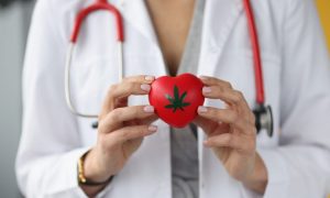 gezondheid van het hart van cannabis
