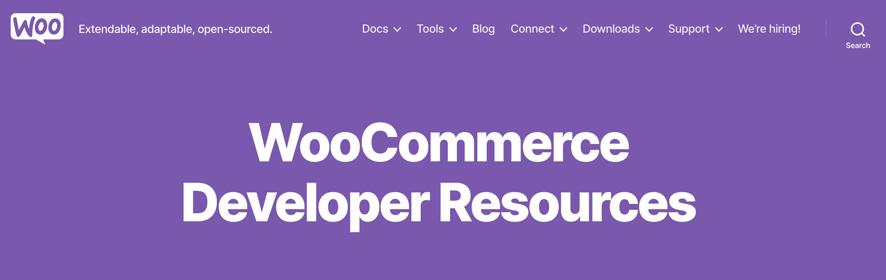 WooCommerce-ontwikkelaars