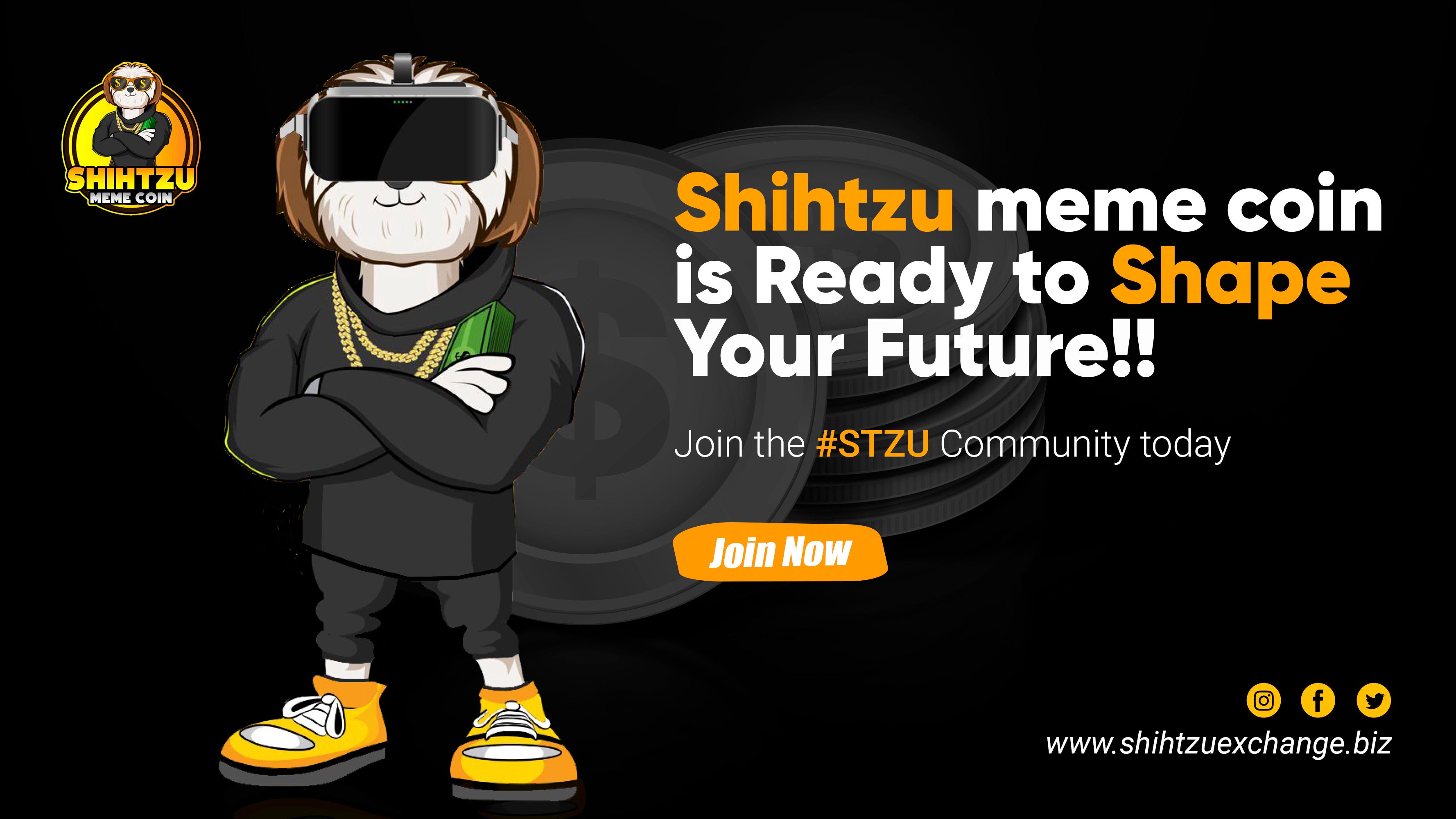 Shihtzu Exchange is The Rise of Meme Coins: It Is A Fad or a New Era in the meme coin industry!!