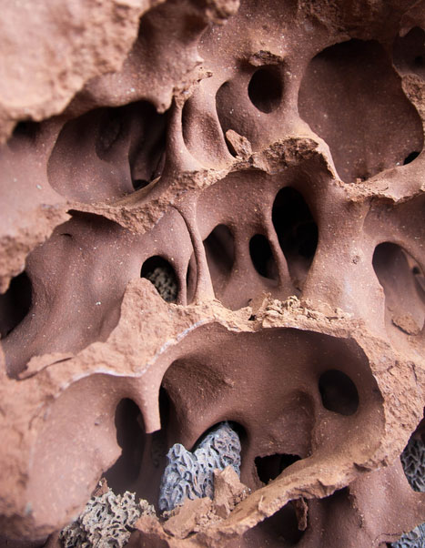 Een deel van het uitgangscomplex van een heuvel van Macrotermes michaelseni termieten uit Namibië