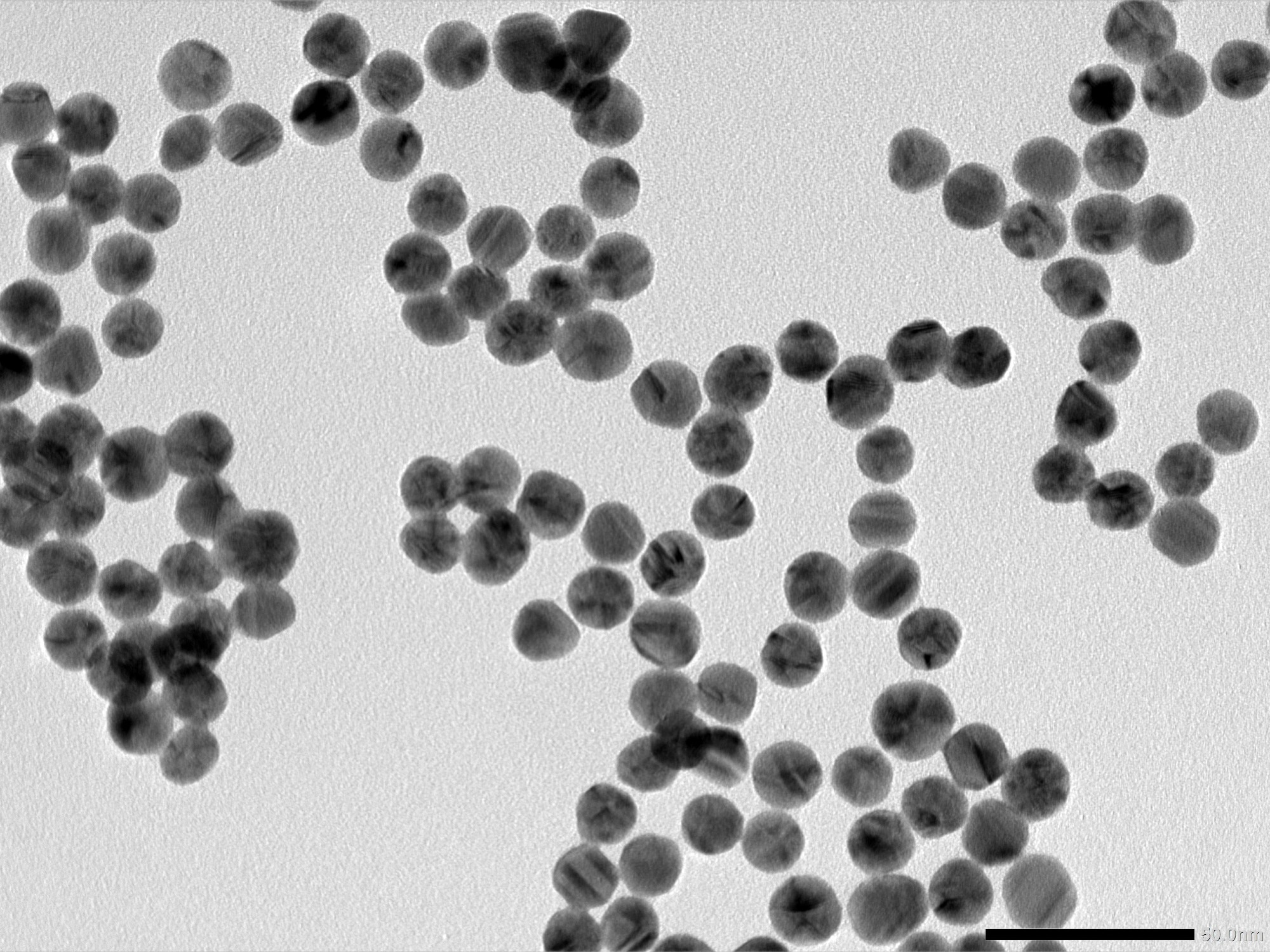 Étude : Nanoparticules et autres nanostructures et contrôle des agents pathogènes : du laboratoire aux vaccins. Crédit d'image : nararat yong / Shutterstock.com