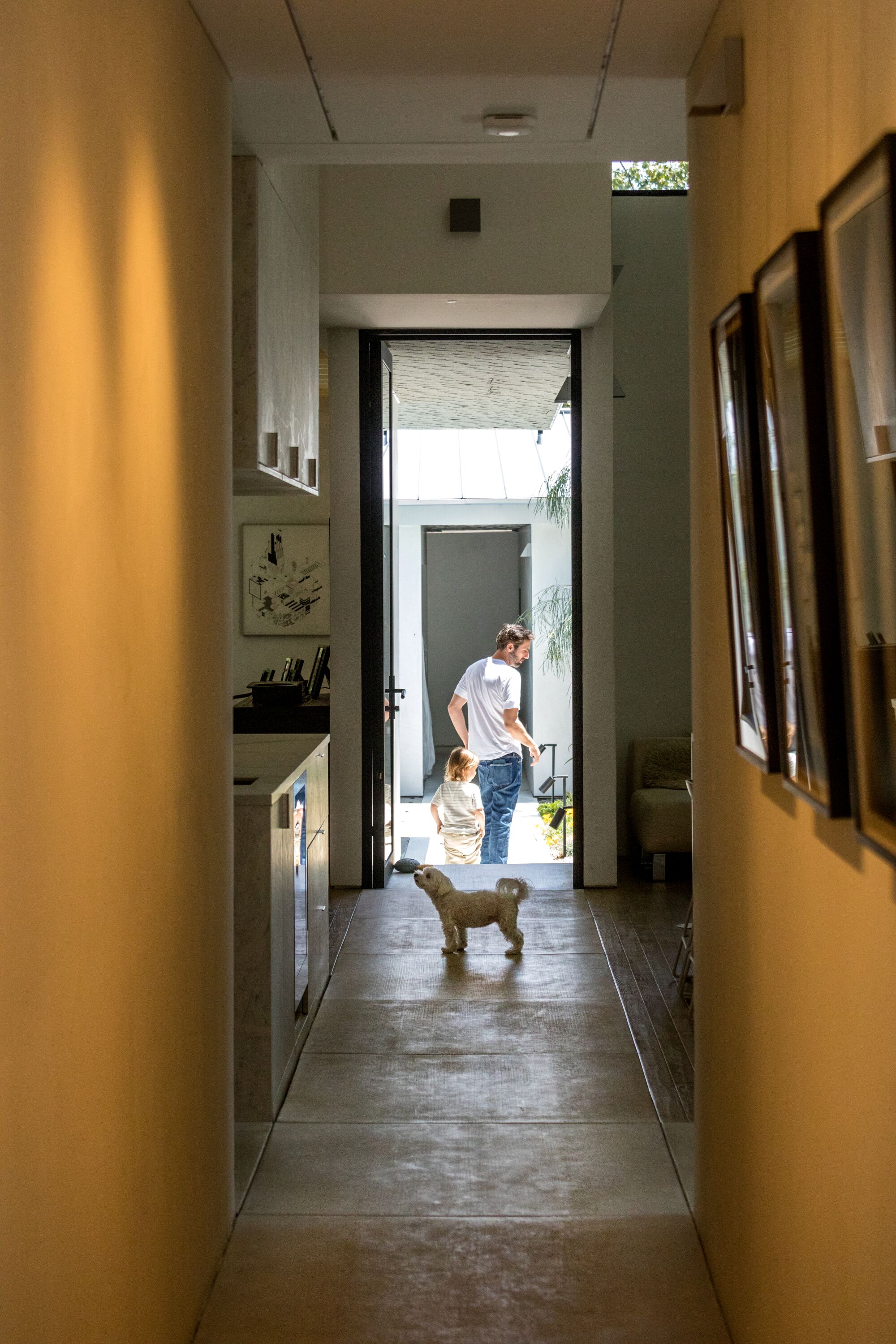 개가 집을 가로지르는 콘크리트 보도에 서 있다