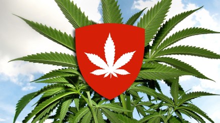 cannabis in Switzerland