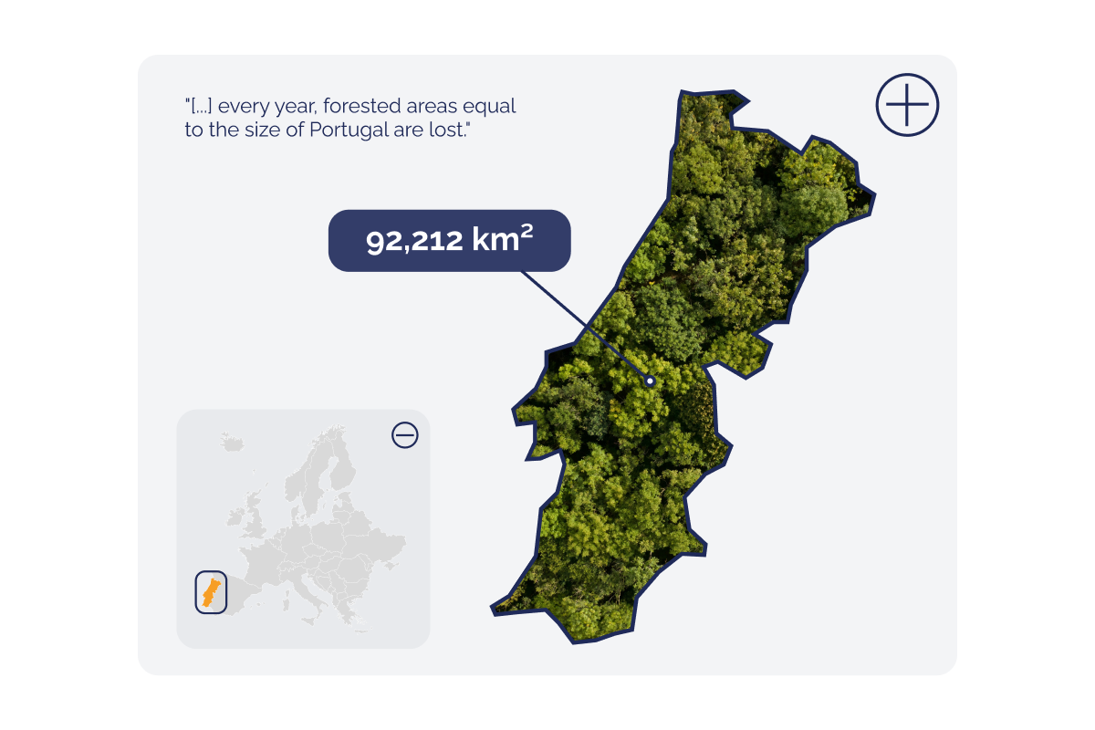 oorzaken van ontbossing_kaart van Portugal_visual 1