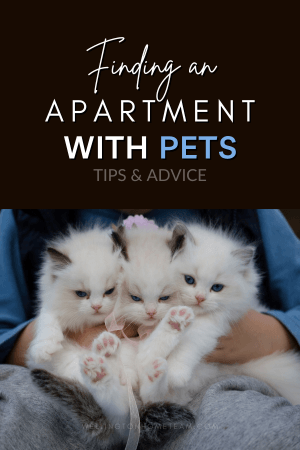 Finding an Apartment with Pets | Tips and Advice