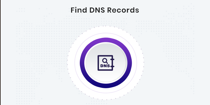 Hitta DNS-poster