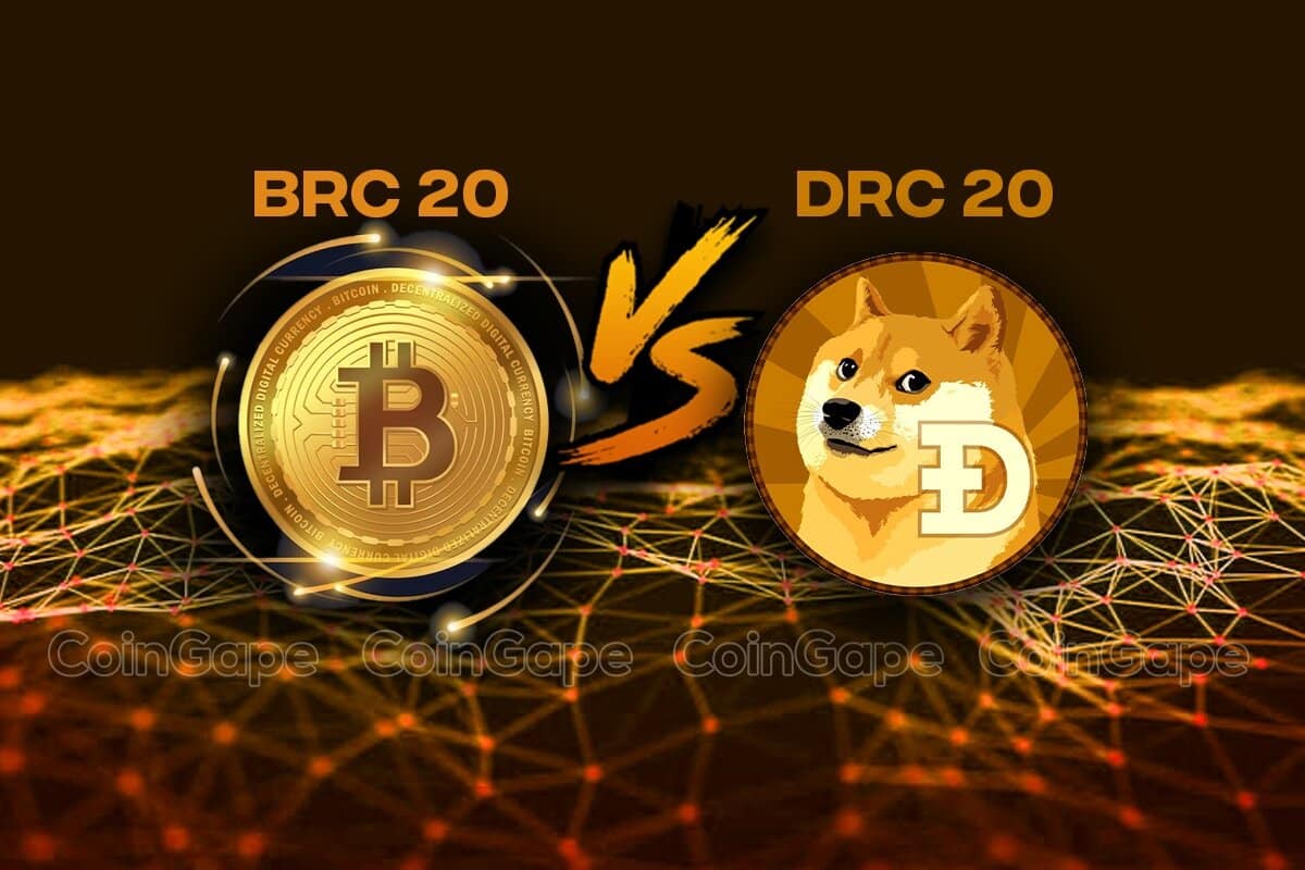 BRC20 대 DRC20