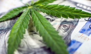 hoe de kosten van cannabis de zwarte markt voor marihuana op zijn kop zullen zetten
