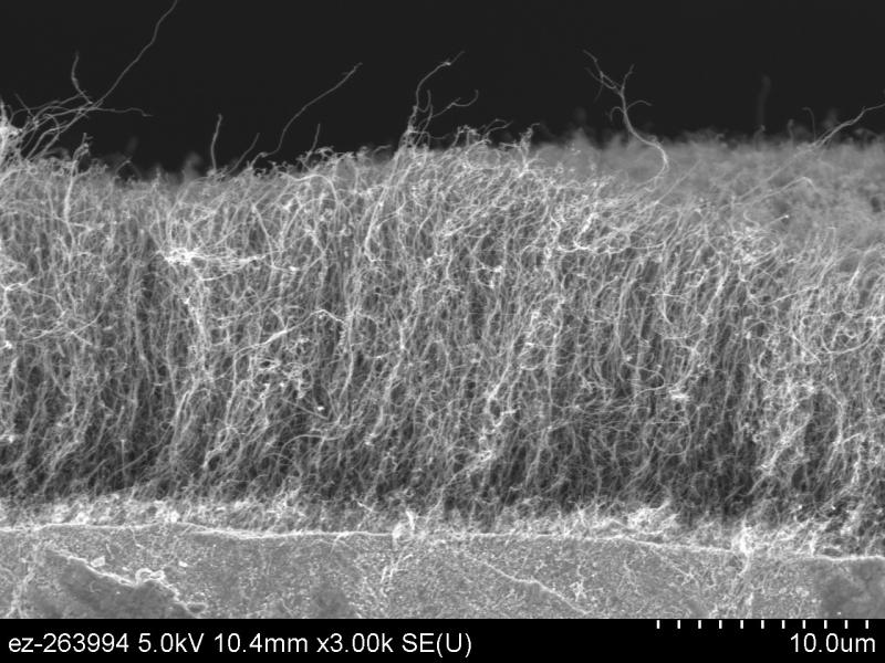 verticaal uitgelijnde koolstof nanobuisjes