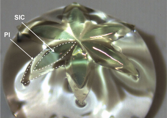 폴리이미드(PI) 필름에 스탬핑되고 물방울 위에 놓인 초박형 꽃 모양의 실리콘 카바이드(SiC) 와이드 밴드갭 반도체의 광학 이미지
