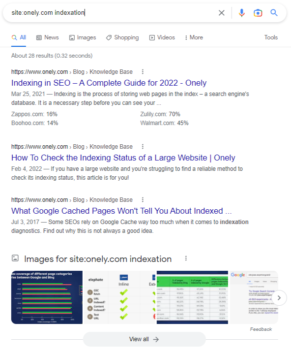 Pages on Onely.com that are indexed for the "indexation" keyword