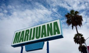 Roaring 2020 'zal worden aangewakkerd door wiet', zoals cannabisexperts voorspellen dat de regelgeving zal opschudden