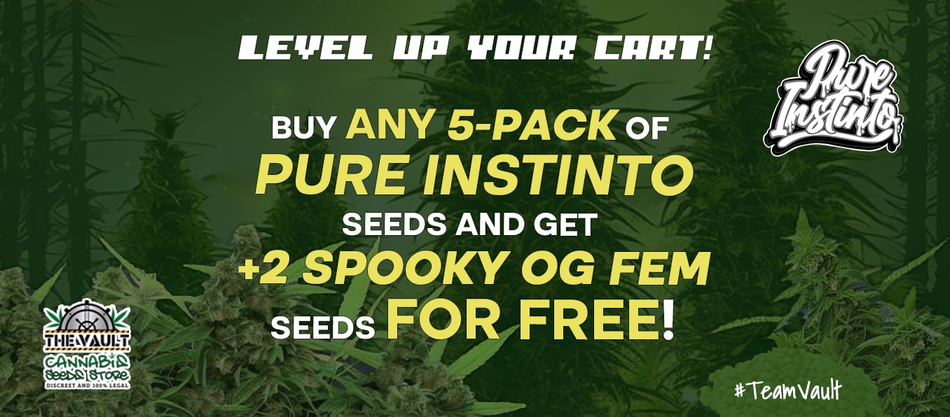 Pure Instinto Koop 5 pakjes Fems en ontvang 2 GRATIS Spooky OG Fem Seeds!