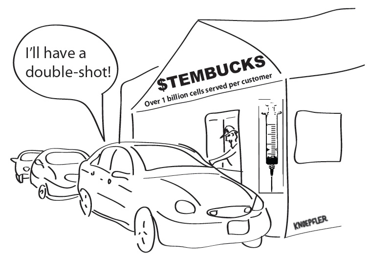 Stembucks, stem cell cartoon