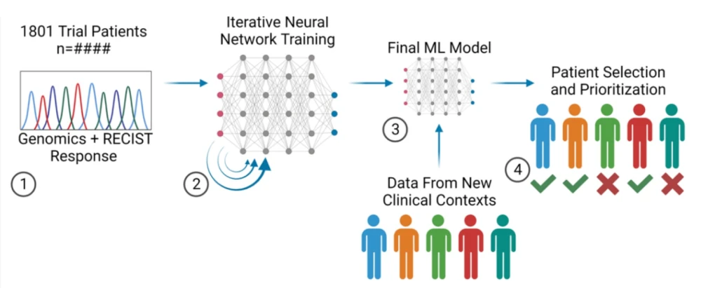 Ontwikkeling van een machine learning-model om de respons van patiënten op Elraglusib te voorspellen met genomics-input.