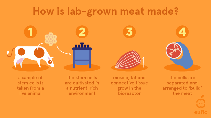 एक चार्ट जिसमें दिखाया गया है कि प्रयोगशाला में उगाया गया मांस कैसे बनाया जाता है