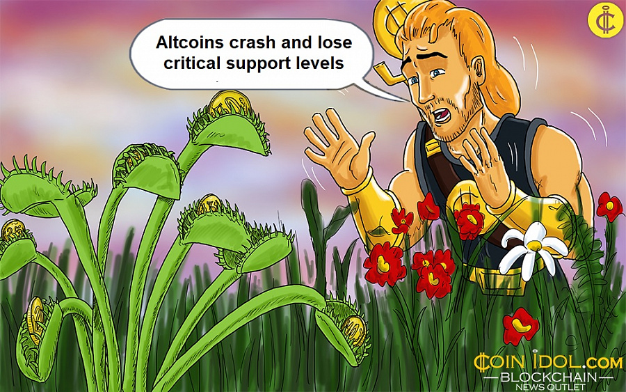 Altcoins crash and lose critical support levels