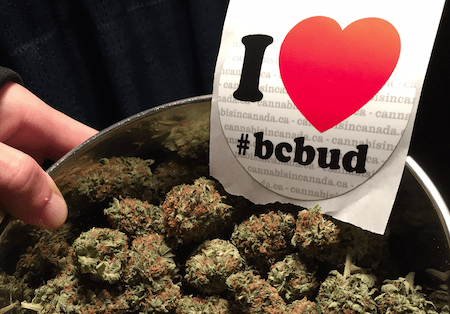 Auditors' Report on B.C. Cannabis