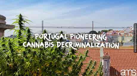 Blick auf Lissabon in Portugal und Cannabispflanzen