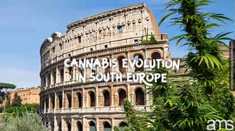 uitzicht op het Colosseum in Rome en cannabisplanten