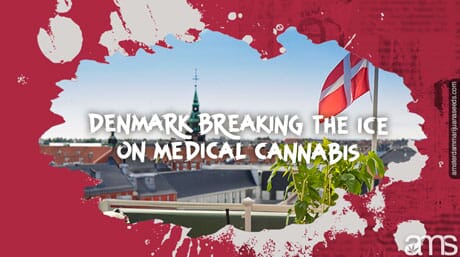 balkon boven Kopenhagen in Denemarken met een ingemaakte cannabisplant