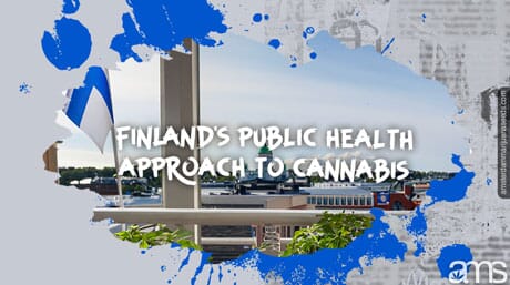 balkon boven Helsinki in Finland met een wietplant in pot