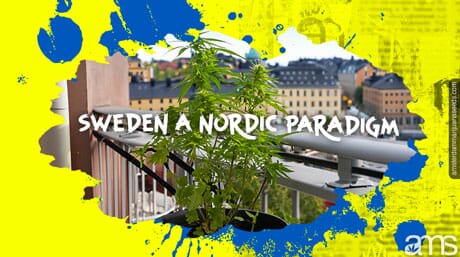 balkon boven Stockholm in Zweden met een wietplant in pot