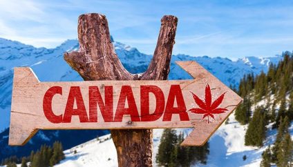 Kanada'da Esrar Turizmi