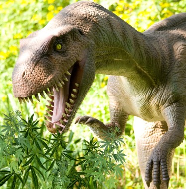 khủng long ăn cỏ dại
