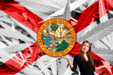 Cour suprême de Floride sur la légalisation du cannabis