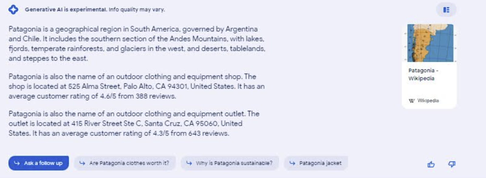 Una búsqueda sobre patagonia revela la incertidumbre de la SGE sobre si la intención de la búsqueda es encontrar una tienda o leer sobre una región geográfica.