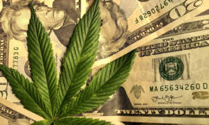 marihuana geld