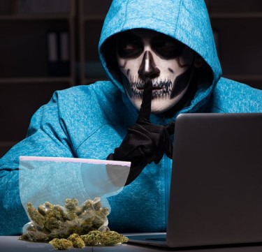 escroqueries au cannabis en ligne