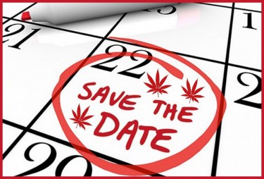Die Legalisierung von Cannabis wird in ... erfolgen.