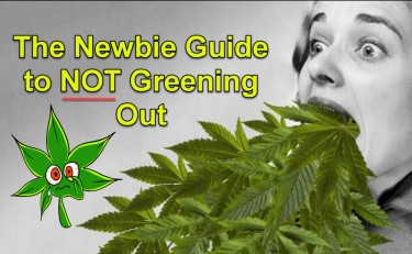 HOW TO STOP GREENING OUT GUIDE