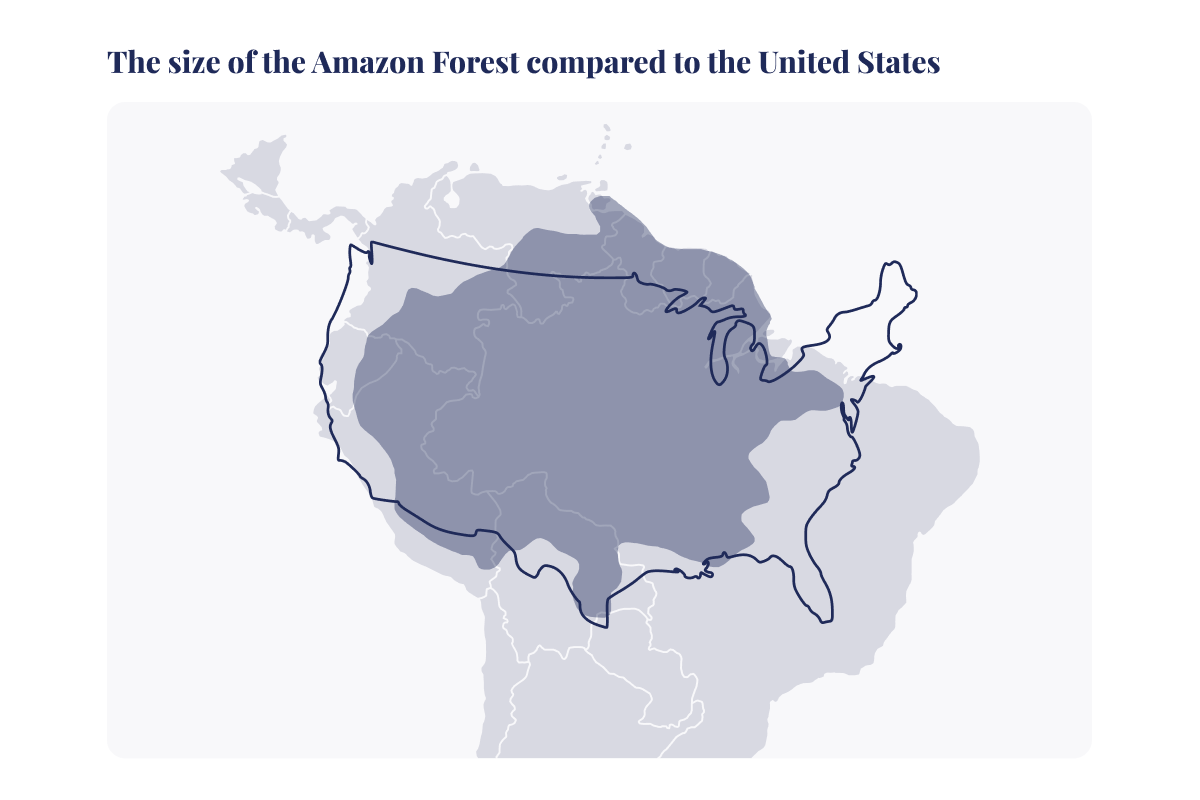 De 10 största skogarna i världen_Karta som visar storleken på Amazonas Forest_visual 2