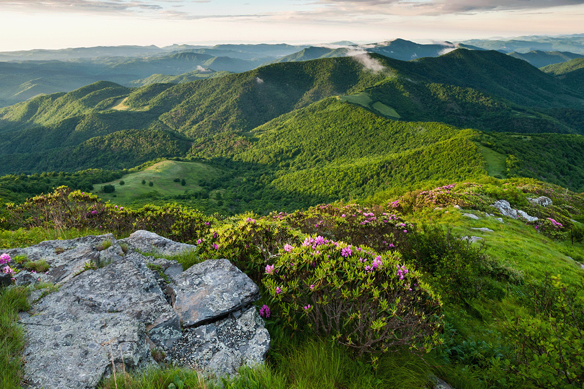 Dünyanın en büyük 10 ormanı_View of Appalachian Mountains_visual 5