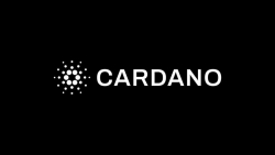 Cardano blockchain austin buluşması