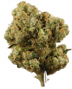 best cannabis hybrid strain