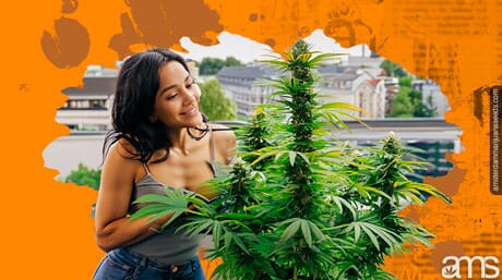 mujer cultiva cannabis en un balcón de la ciudad