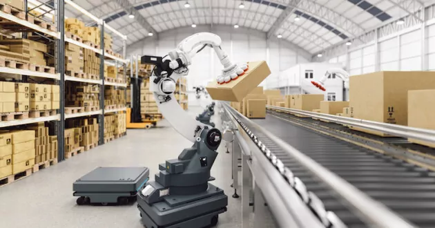 Automation with AGV and robotic arm in smart distribution warehouse.