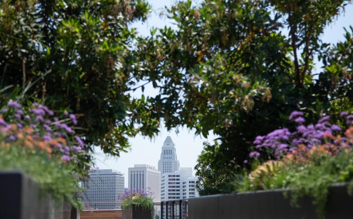 Heesters en bomen geplant op een dak omlijsten een zicht op het stadhuis in het centrum van Los Angeles