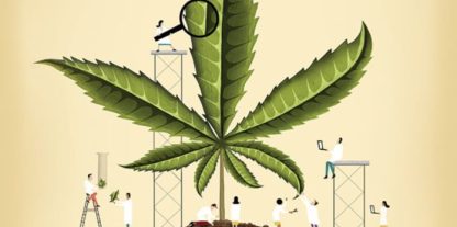 Details of the Cannabis-in-the-Workplace Study