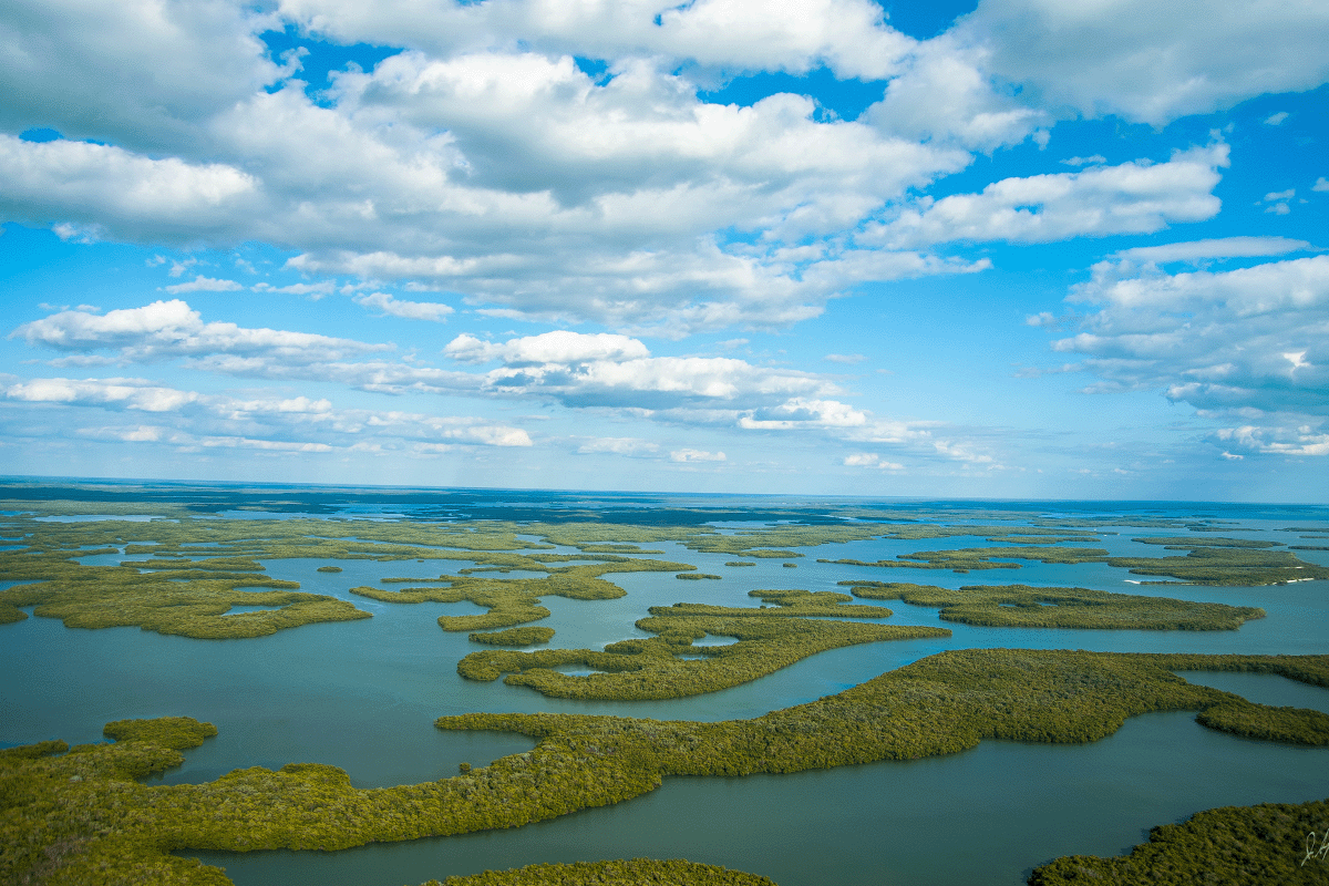 mekansal verilerin gücünü keşfetmek_Everglades Ulusal Parkı'nın havadan görünümü_visual 5